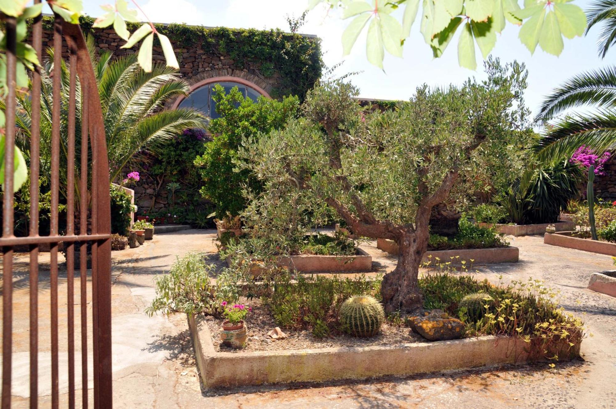 Agriturismo Zinedi Villa Pantelleria Exterior photo